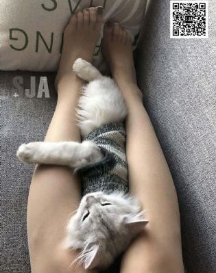 光棍影院手机