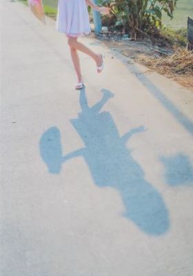免费看电视剧大全